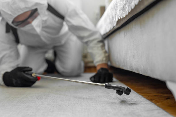 Professional Termite Control technician working in Mount Hope, NJ