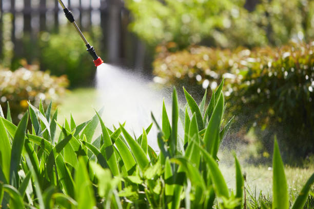 24/7 Emergency Termite Control experts in Mount Hope, NJ