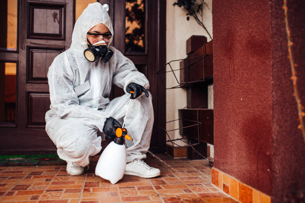 Reliable Termite Control contractor in Mount Hope, NJ by Nex Pest Control